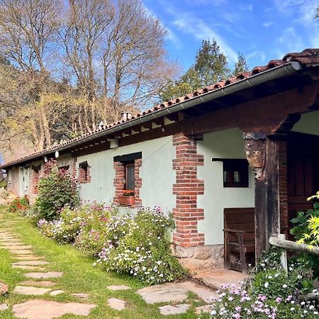 Los Acebos De Pena Cabarga, Cupula Experiencias Sobremazas Exterior foto