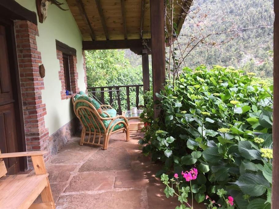 Los Acebos De Pena Cabarga, Cupula Experiencias Sobremazas Exterior foto