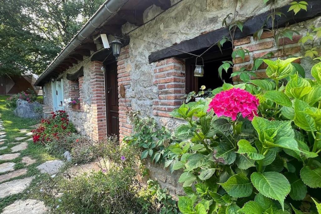 Los Acebos De Pena Cabarga, Cupula Experiencias Sobremazas Exterior foto